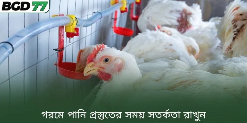 গরমে পানি প্রস্তুতের সময় সতর্কতা রাখুন