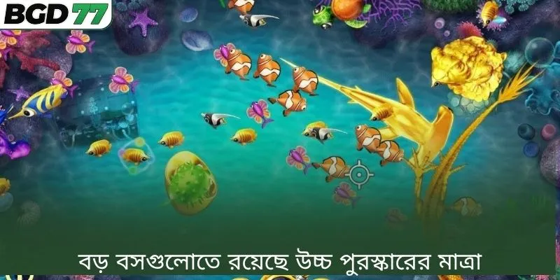 বড় বসগুলোতে রয়েছে উচ্চ পুরস্কারের মাত্রা