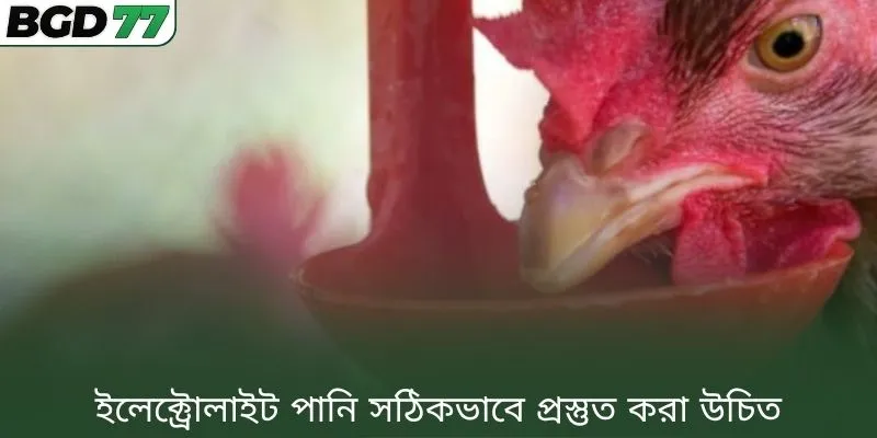 ইলেক্ট্রোলাইট পানি সঠিকভাবে প্রস্তুত করা উচিত