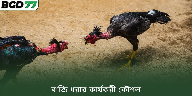 বাজি ধরার কার্যকরী কৌশল