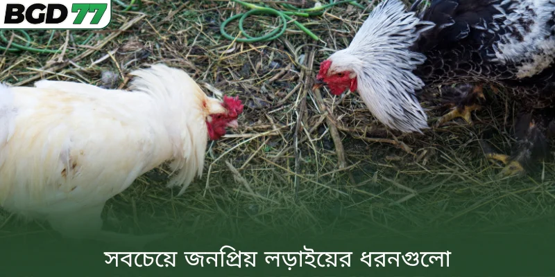 সবচেয়ে জনপ্রিয় লড়াইয়ের ধরনগুলো