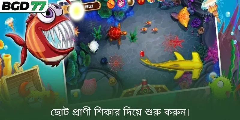 ছোট প্রাণী শিকার দিয়ে শুরু করুন।