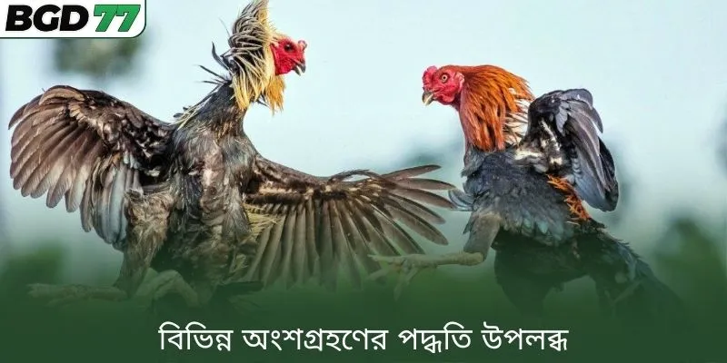 বিভিন্ন অংশগ্রহণের পদ্ধতি উপলব্ধ
