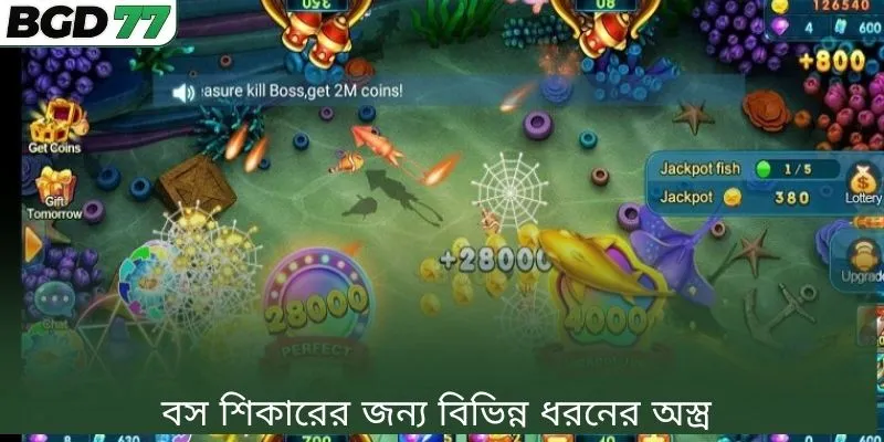বস শিকারের জন্য বিভিন্ন ধরনের অস্ত্র 